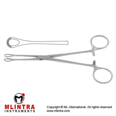 Williams Intestinal and Tissue Grasping Forceps Stainless Steel, 16.5 cm - 6 1/2"